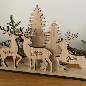 Reindeer Personalised Scene