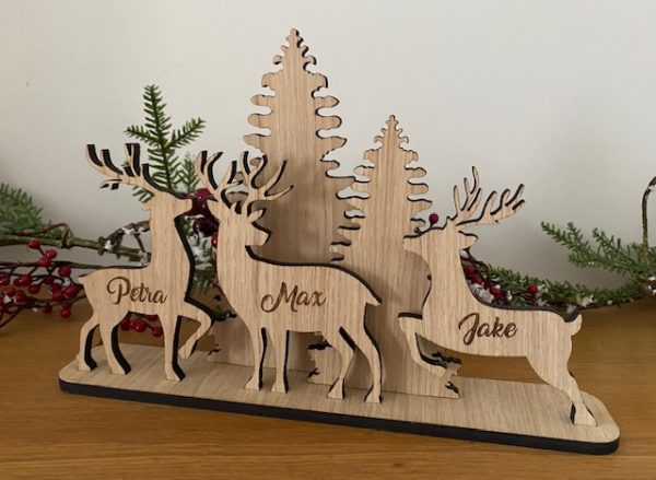 Reindeer Personalised Scene